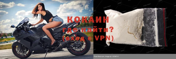 apvp Ельня