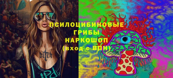 apvp Ельня
