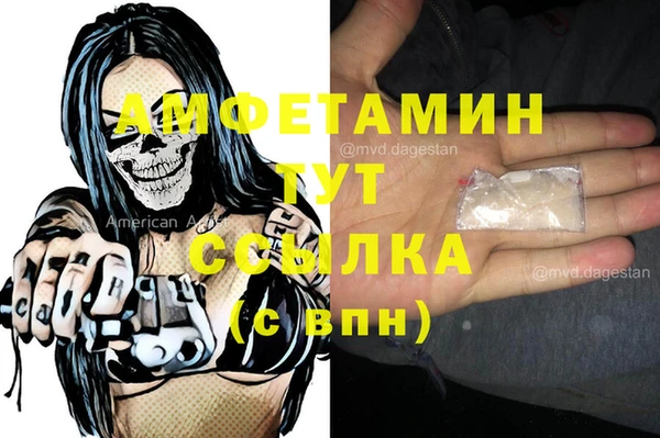 apvp Ельня