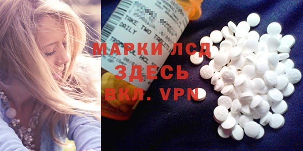 apvp Ельня