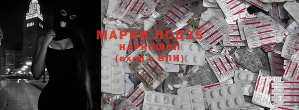 apvp Ельня
