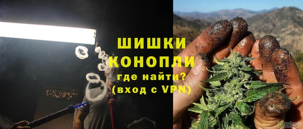 apvp Ельня