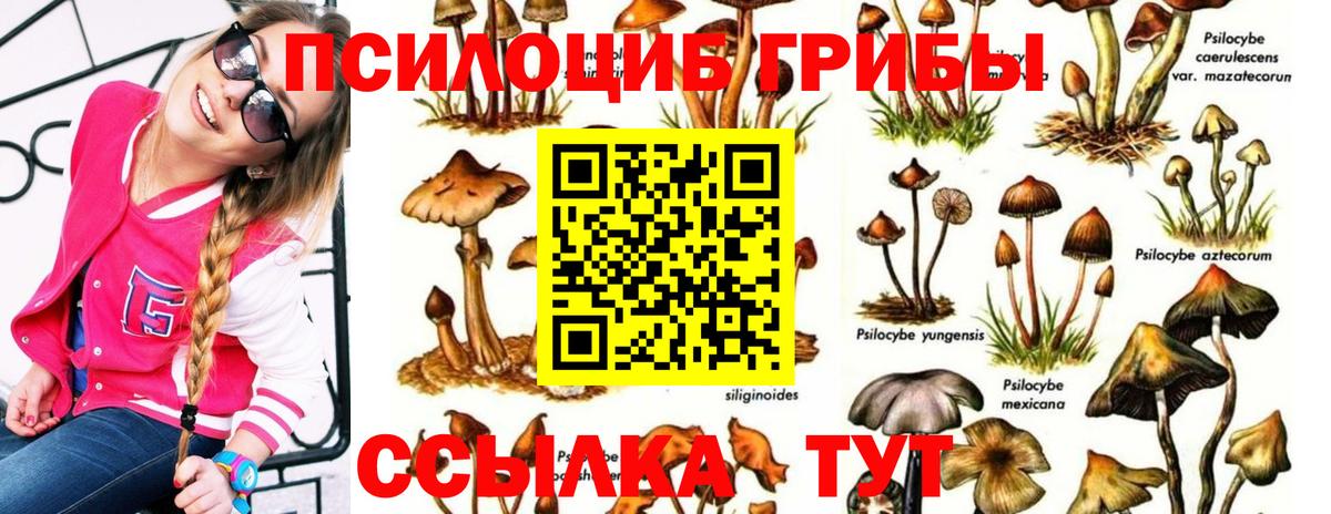 Псилоцибиновые грибы MAGIC MUSHROOMS Зеленокумск