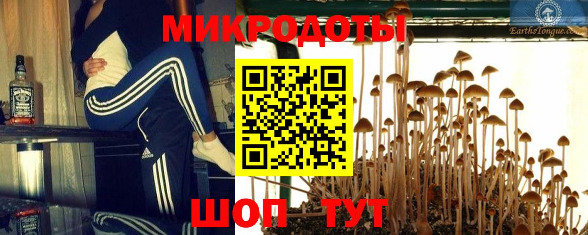 Псилоцибиновые грибы Cubensis  Вход с VPN  Псилоцибиновые грибы ЛСД  Зеленокумск 