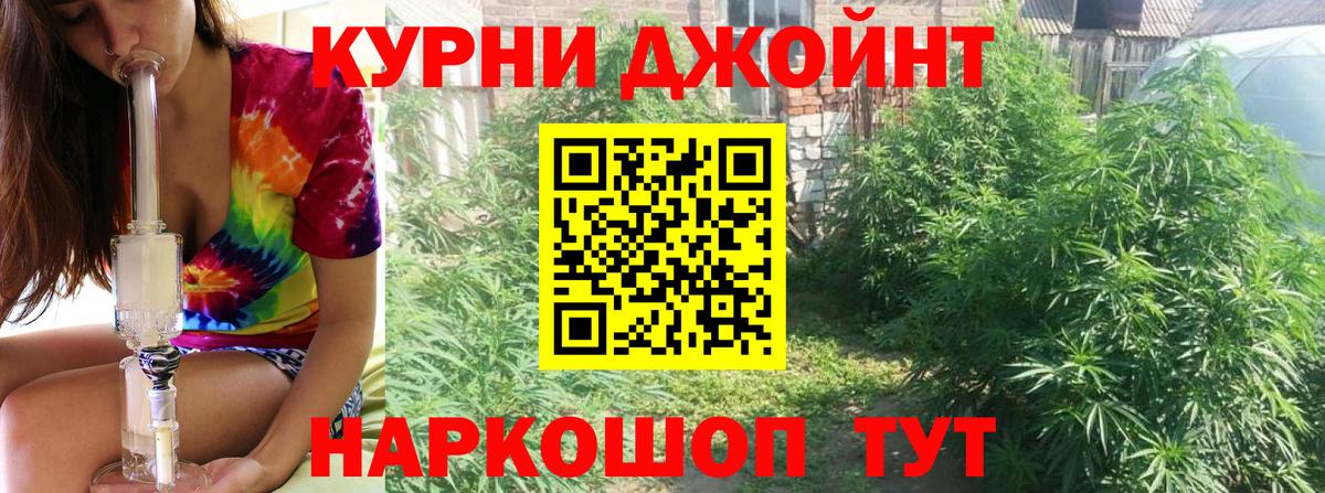 Каннабис планчик Зеленокумск